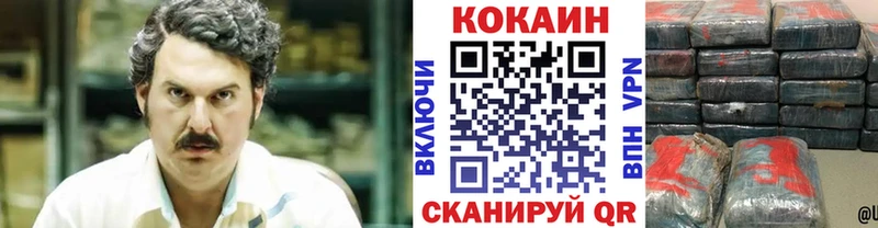 COCAIN Fish Scale где продают наркотики Котлас