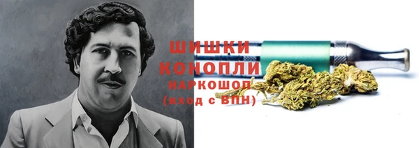 винт Абаза