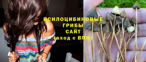 винт Абаза