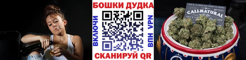 купить наркотик  Котлас  Конопля сатива 